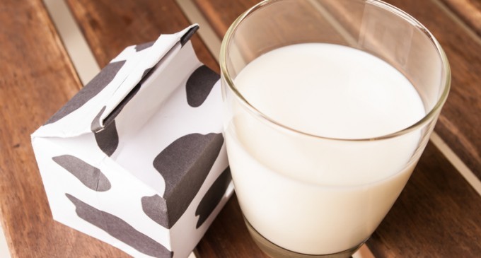 The Real Reason Why Any Other Type Of Milk, Aside From Whole Milk, Is Complete Garbage