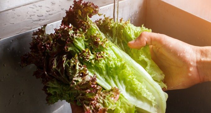 The Fastest Way To Dry Lettuce Without Using A Bunch Of Paper Towels Or Some Fancy Kitchen Gadget