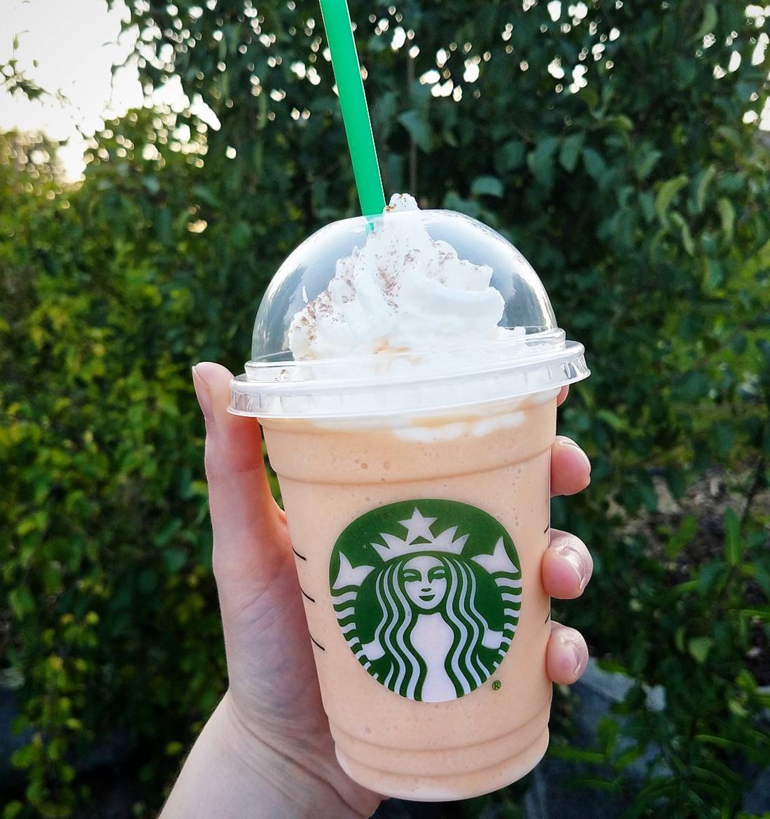 Starbucks Secret Menu Item Pumpkin Cheesecake Frappuccino Recipe Station 4497